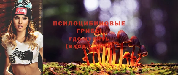 дмт Балахна