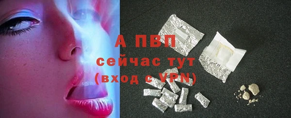 эйфоретик Баксан