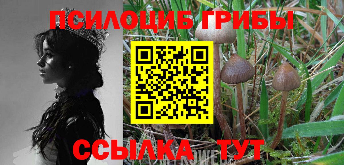 Галлюциногенные грибы MAGIC MUSHROOMS Белогорск